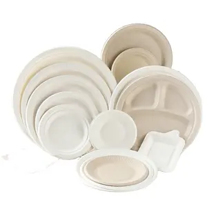 Ensemble d'assiettes en papier compostables, vaisselle de fête jetable, assiettes en papier naturel blanc biodégradable, fourchettes, couteaux