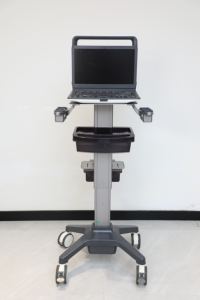 Système de diagnostic médical à ultrasons de qualité supérieure, appareil d'échographie vétérinaire Doppler couleur 4D avec interface à trois sondes - Product Image 5