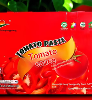 Sauce tomate Gansu Jiuquan, spécialité, 260 ml, 1 boîte, sauce pour hamburgers, frites, pâtes, crêpes faites maison, sauce à cuire
