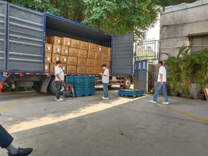 Transporte Marítimo DDP a Europa |   Entrega con Impuestos Pagados |   Servicio de Guindulalos Blancos, Transporte Marítimo - Product Image 4