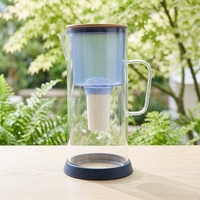 Carafe filtrante à eau en verre transparent avec filtre à charbon actif, pichet filtrant à eau froide, bouilloire premium, élimine le chlore et les métaux lourds