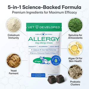 Allergie d'usine et probiotiques immunitaires chiens prébiotiques santé peau et manteau mâche doux quotidien <span class=keywords><strong>pour</strong></span> intestin digestif supplément naturel <span class=keywords><strong>pour</strong></span> animaux de compagnie - Product Image 3