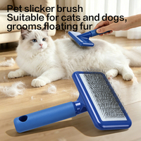 Brosse de toilettage pour animaux de compagnie (chats et chiens) en acier inoxydable et plastique, écologique, vente en gros d'usine