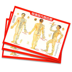 OEM Acupuncture Practice <b>Kit</b> MZSNSQ-288 With Simulated Skin <b>Model</b> For TCM Students Disposable Needling Training Set - Product Image 4