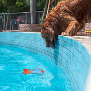 Cross-border pet sounding toy, waterproof Oxford cloth <b>dog</b> <b>pool</b> floating toy with rope, bone pet toy - Product Image 2