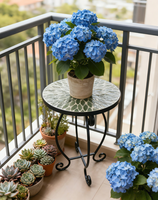 Table d'appoint de salon minimaliste en mosaïque pour jardin extérieur, table d'appoint artistique en fer forgé, petite jardinière de loisirs pour cour et balcon