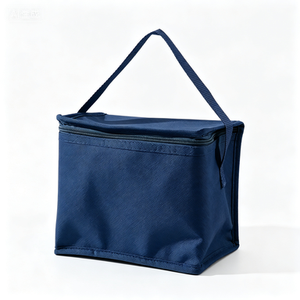 Sac isotherme réutilisable personnalisé avec logo, vente en gros, petit sac isotherme non tissé pour 6 canettes, fermeture éclair, imperméable - Product Image 4