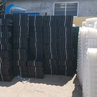 Grille d'herbe de plantation en plastique de pavé d'herbe résistante pour le stationnement commercial de verdissement de bord de route