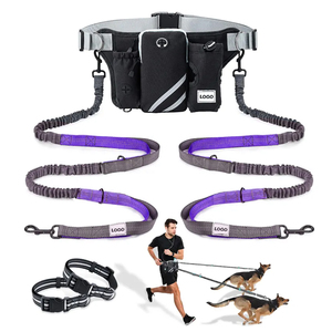 Son lüks köpek tasma bel çantası fermuar kılıfı çift yastıklı kolları için eller serbest yürüyüş Pet eğitim batı yapımı naylon - Product Image 1