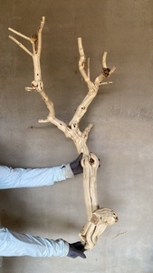 Ramo di <span class=keywords><strong>Legno</strong></span> Essiccato Fatto a Mano per Albero Decorativo Simulato, per Decorazioni di Matrimoni, Case e Hotel, Pianta Artificiale da Interno - Product Image 3