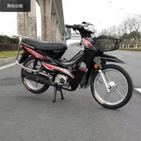 Moteur de Moto et Cyclomoteur Champ Factory, 150cc Directement Compatible avec Moteurs Essence 110cc, 125cc, 150cc pour Motos Routières
