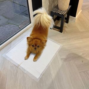 Tapis d'entraînement pour chien jetable personnalisé, 90% biodégradable, 6 couches, avec film PLA anti-fuite - Product Image 2