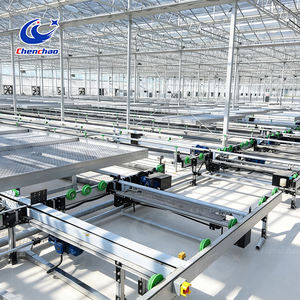Système de bancs roulants <span class=keywords><strong>en</strong></span> maille pour la logistique des herbes culinaires, lit de culture mobile automatique pour le <span class=keywords><strong>basilic</strong></span>, la menthe et la culture intensiviste d'herbes aromatiques - Product Image 3