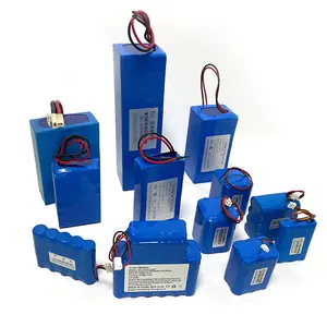 Paquete de batería de iones de litio 18650 21700 26650 32650 32700 3,7 V 7,4 V 11,1 V 14,8 V 24V batería de iones de litio con cargador