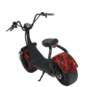 Smarda hızlı geniş tekerlekli elektrikli scooter 2000w toptan citycoco ab depo teslimat