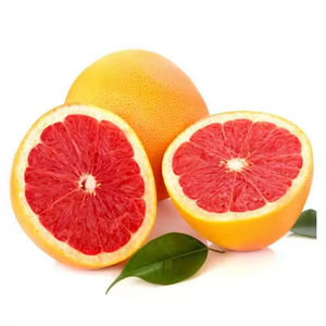 천연 좋은 맛 모로 블러드 오렌지 추출물 블러드 오렌지 파우더 - Product Image 6