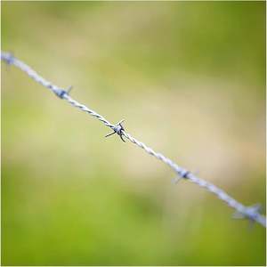 SRX 1.6/2/2, 2mm kawat baja berduri terpilin ganda 2mm 50m pagar keamanan hewan ternak panjang untuk penggunaan pertanian - Product Image 6