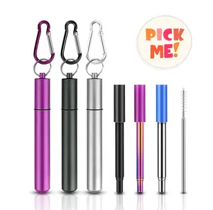 Paille télescopique extensible en acier inoxydable, pliable, bon marché, avec pointe en silicone et porte-clés