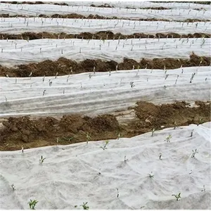 Polypropylène Spunbond Tissu Non-Tissé D'agriculture pour Serre Végétale