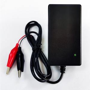 24W Cargadores Adaptadores 10,8 V 10,95 V 2A AU/EU/UK/US Cargador de pared para 3S 9V 9,6 V LiFePO4 Cargador de batería - Product Image 3