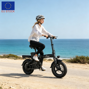 Vélo électrique pliable LOOKRUN G11, prix bas, stock UE, mini vélo électrique pliable pour adultes, 48V 13Ah - Product Image 1