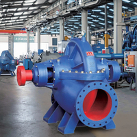 Pompe centrifuge professionnelle en fonte à double aspiration, usinée avec précision pour le transfert d'eau en centrale électrique