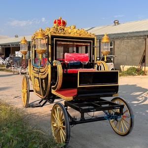 Calèche royale de luxe, plusieurs couleurs, calèche électrique, calèche tirée par des chevaux, fabriquée en Chine - Product Image 2