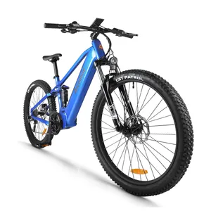 2021 Accolmile 250w Bafng Mid Motor Lithium Battery 48V Electric Bicycle 29 Inch 9 Speed Electric Bike Mtb E-bike