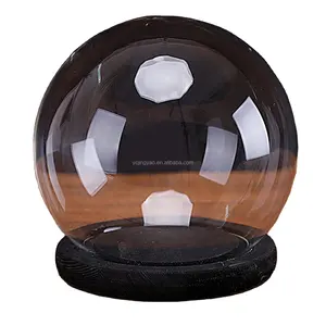 6 Inch Clear Glass Terrarium Keepsake Display Cloche Globe Dome with Black Wood Base