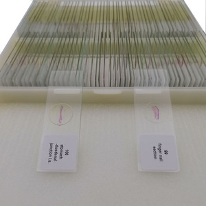 Vaste Set 100 Stukken Zoölogie Van Dierlijk Weefsel Van Zoogdieren Histologische Dia 'S Geprepareerde Dia 'S - Product Image 3