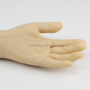 Mannequin d'entraînement avancé pour ponction veineuse de l'avant-bras, en PVC durable et réutilisable, idéal pour les écoles de médecine et la formation infirmière aux injections - Offre Spéciale - Product Image 6