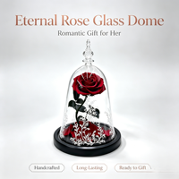 La Belle et la Bête - Fleur éternelle sous cloche en verre - Cadeau pour femme, petite amie - Décoration pour Thanksgiving, Noël et événements spéciaux