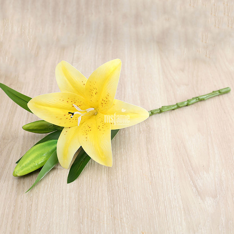 1 flower lily