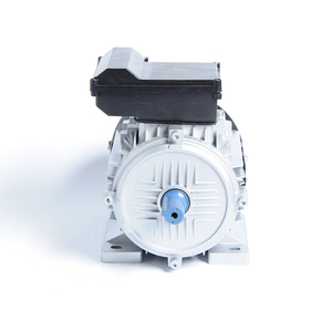 100% Copper Wire 220V 50Hz Single-Phase AC Motor 0.25kw Power with Cast <b>Iron</b> Housing and 3000rpm Speed - Product Image 1