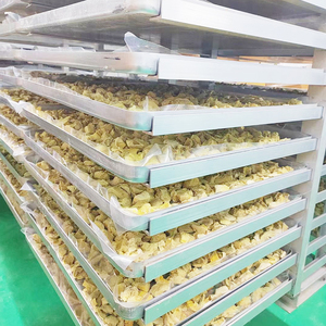 Commerciale piccolo liofilizzatore caramella frutta cibo essiccazione liofilizzatore macchina prezzo per uso domestico con pompa a vuoto - Product Image 4