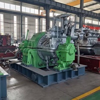 Générateur de turbine à vapeur industrielle à haute efficacité pour système de turbine à vapeur à contre-pression de centrale biomasse
