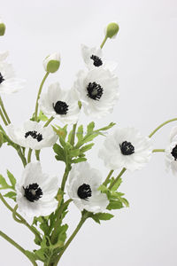 Flores Artificiales de Peonía y Margarita de Tacto Real, PU Realista, Venta al por Mayor, 3 Cabezas, Tallo Largo de 70 cm, Larga Duración, Marca HUAMU - Product Image 3