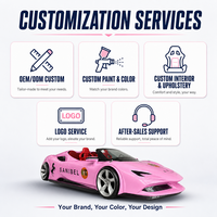 Bateau Supercar Aquatique Rose Ouvert en Fibre de Verre (FRP) 4,98m 4-5 Passagers 60km/h pour Location en Parc Aquatique, Station Balnéaire, Tourisme Lacustre et Entreprises