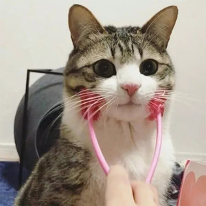 Cat Double Wheel Face Massager Pink <b>Silicone</b> Pet Grooming <b>Tool</b> For Cats Multifunctional Petting Aid - Product Image 2