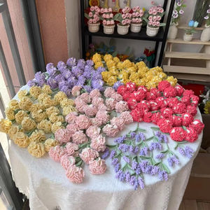 Best Gift for Mother's Day <strong>Handmade</strong> <strong>Crochet</strong> Carnation Potted Plants Colorful Hand <strong>Knitted</strong> Wool Yarn Home Decor Artificial <strong>Flower</strong> - Product Image 6