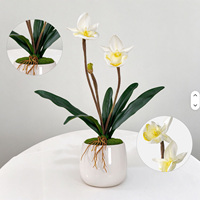 Model Penjualan Bunga Piphidium Paphiopedilum Berkualitas Tinggi, Desain Floral untuk Ruangan, Dekorasi Rumah Anggrek