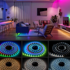 Tira de Luces LED de PVC IP65 WS2805 RGBCCT Digital Magic Dream Colors 12V/24V 60 LED/M 3000K al por Mayor - Product Image 2