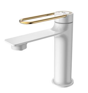 Robinet chaud/froid pour lavabo de comptoir domestique, évier de lavage du visage, évier de lavage des légumes dédié, exportation tout en cuivre - Product Image 2