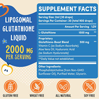 Suplemento Líquido Vegano de Glutatión Liposomal Sin Gluten con Aloe Vera para el Bienestar Diario y Apoyo a la Desintoxicación en Adultos