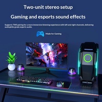Haut-parleur sans fil magnétique TWS populaire, version 6.0, avec lumière RGB, mini enceinte portable, fonction de lecture de carte TF pour l'extérieur