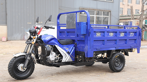 Triciclo Motorizado 200cc Más Vendido en 2024 para Pasajeros, Tipo Carrocería Abierta, La Mejor Opción de China - Product Image 4