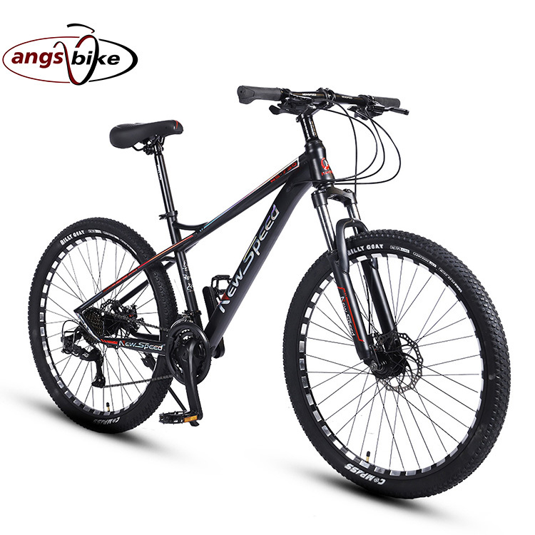 Angsi Cheap Carbon Fibre Mountain Bike