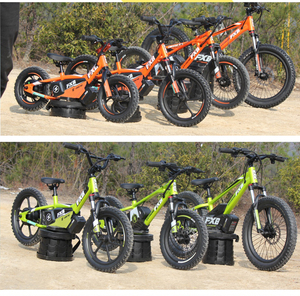 Chine FXB 12 "16" 20 "vélo d'équilibre électrique pour enfants <span class=keywords><strong>avec</strong></span> batterie au lithium 36v capacité 2.5/5.0ah vélo de conception populaire pour les enfants - Product Image 4