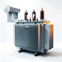 Transformateur de distribution de puissance triphasé immergé dans l'huile Taishun S11 160KVA 50/60Hz 6.3kV 10kV