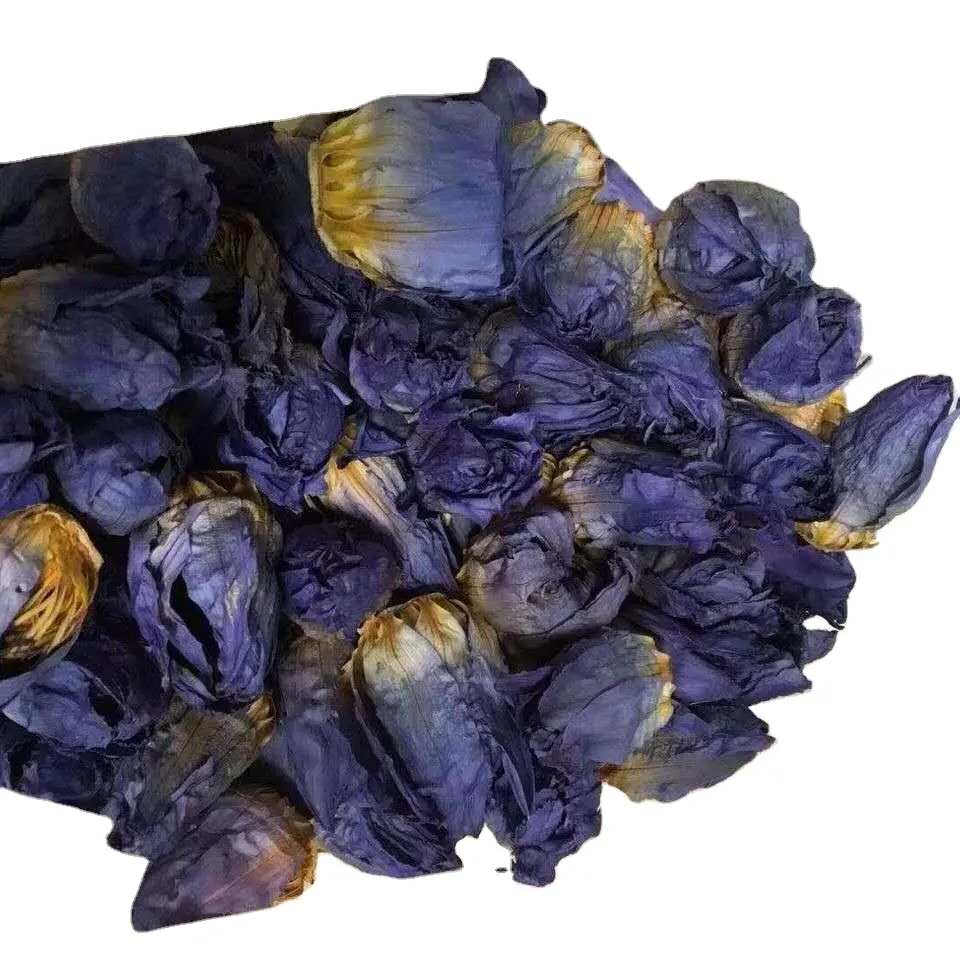本物の青い蓮の花球根本物の香りのよい青いエジプトの蓮のつぼみボールお茶用の青い蓮の花のつぼみ